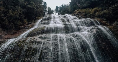 Environnementalisme : Comprendre l’impact des activités humaines sur notre planète