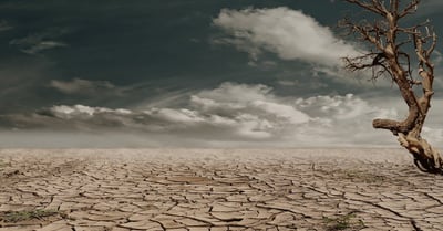 Lutte contre le changement climatique : stratégies efficaces pour un avenir durable