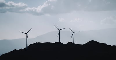 Politiques environnementales : enjeux et perspectives pour un avenir durable