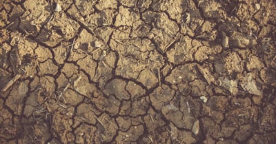 Lutte contre la sécheresse : des solutions innovantes pour préserver nos ressources en eau