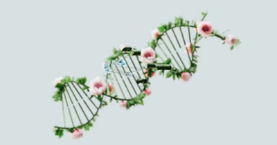 Écologie numérique : comprendre l’impact de notre vie digitale sur l’environnement